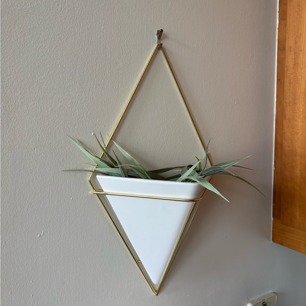 White and Gold Hanging Plant holder
